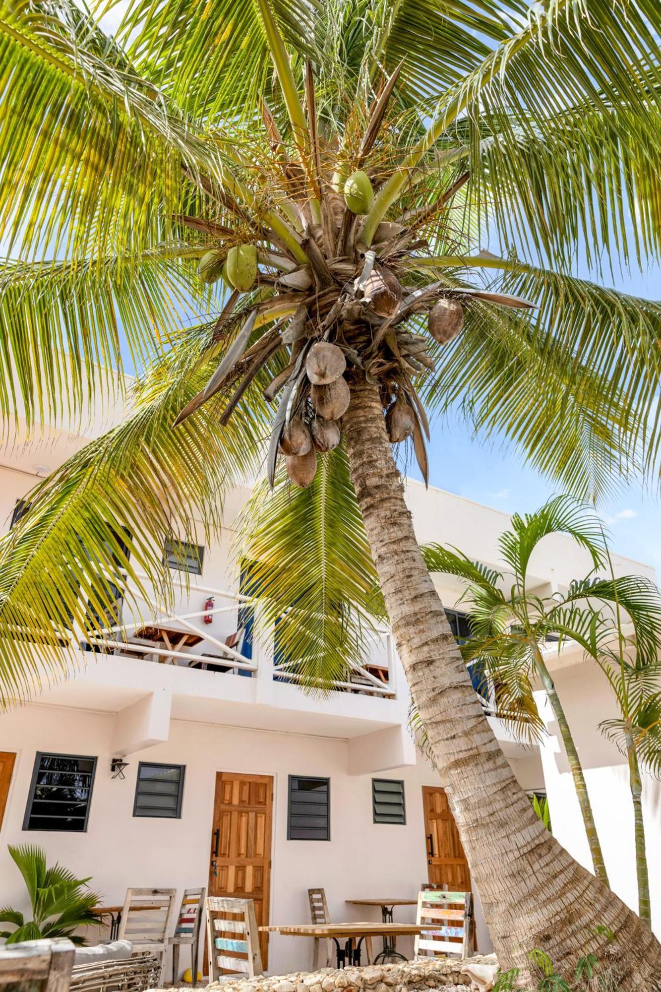 The Hut Bonaire Hotel Kralendijk  Exterior photo